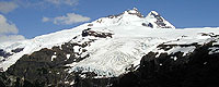 die Waldgrenze gibt den Blick auf den Tronador frei